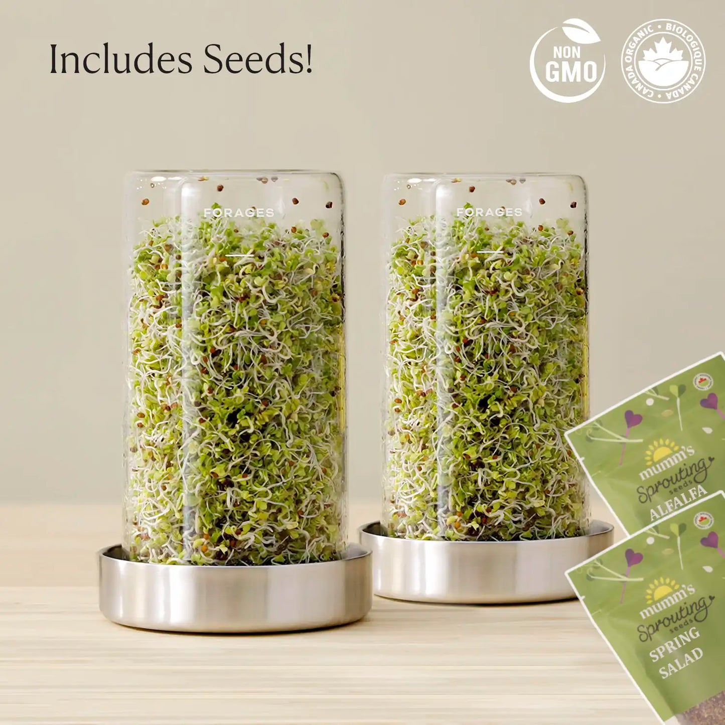 Sprout Jar Kit