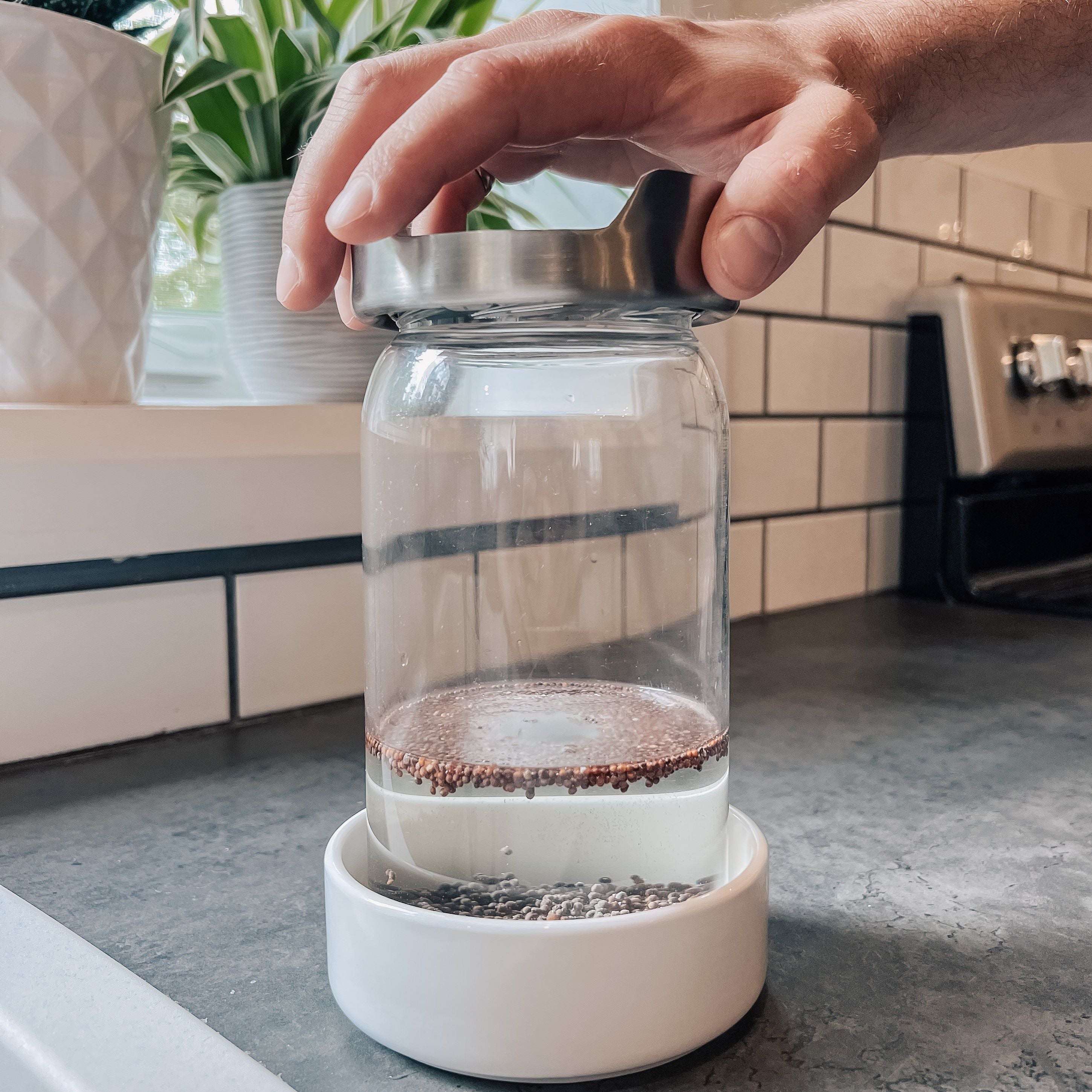 Adding the lid and stand to the jar and bowl of the Sprout Jar Kit