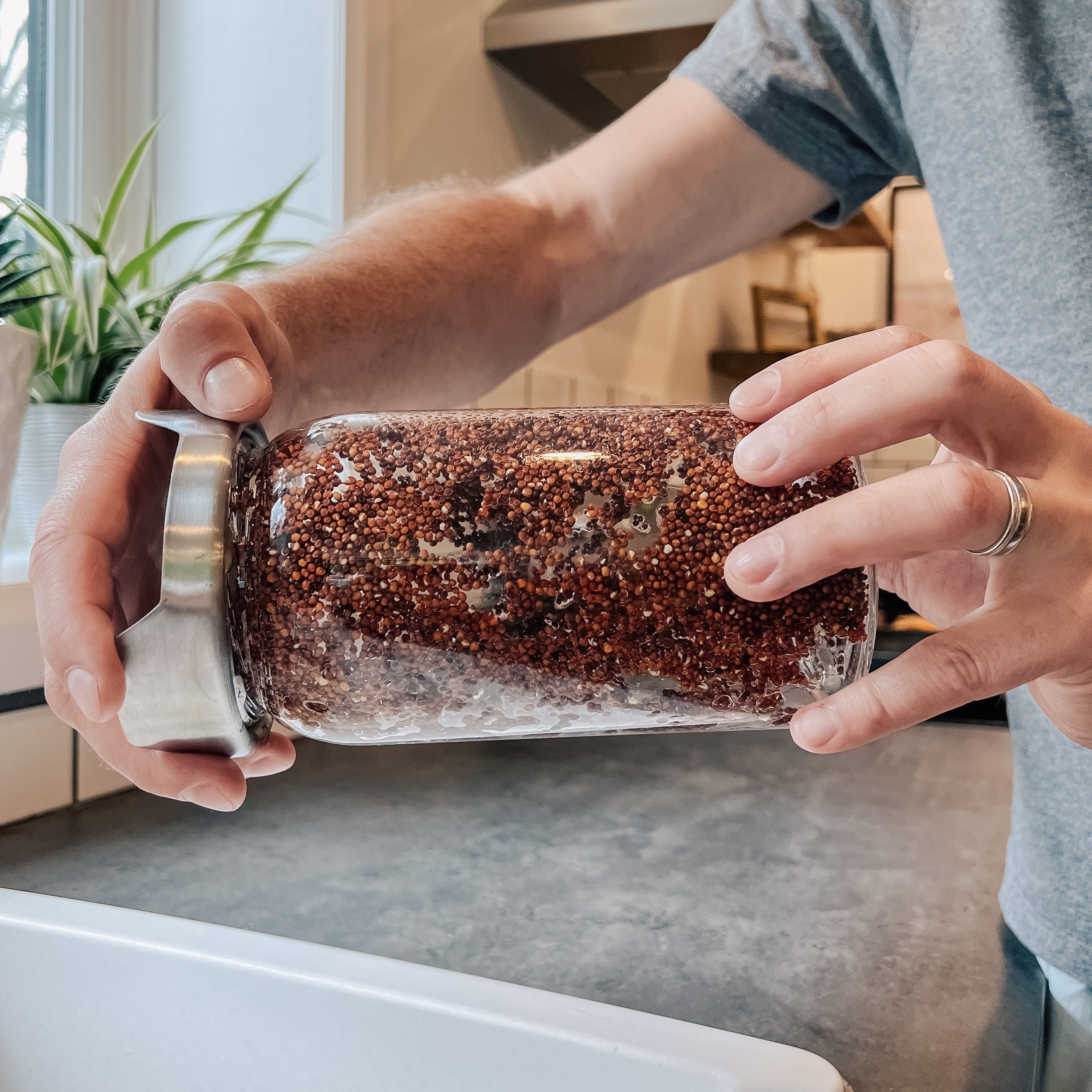 Spreading out broccoli sprout seeds on sides of the Sprout Jar Kit by rotating