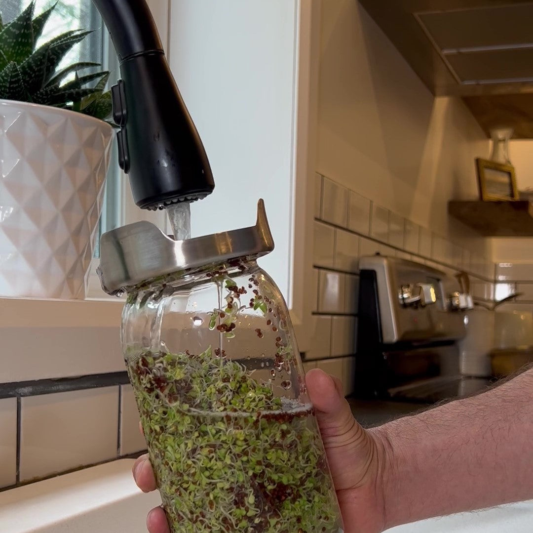 Filling the Sprout Jar Kit with a water faucet through the lid and stand