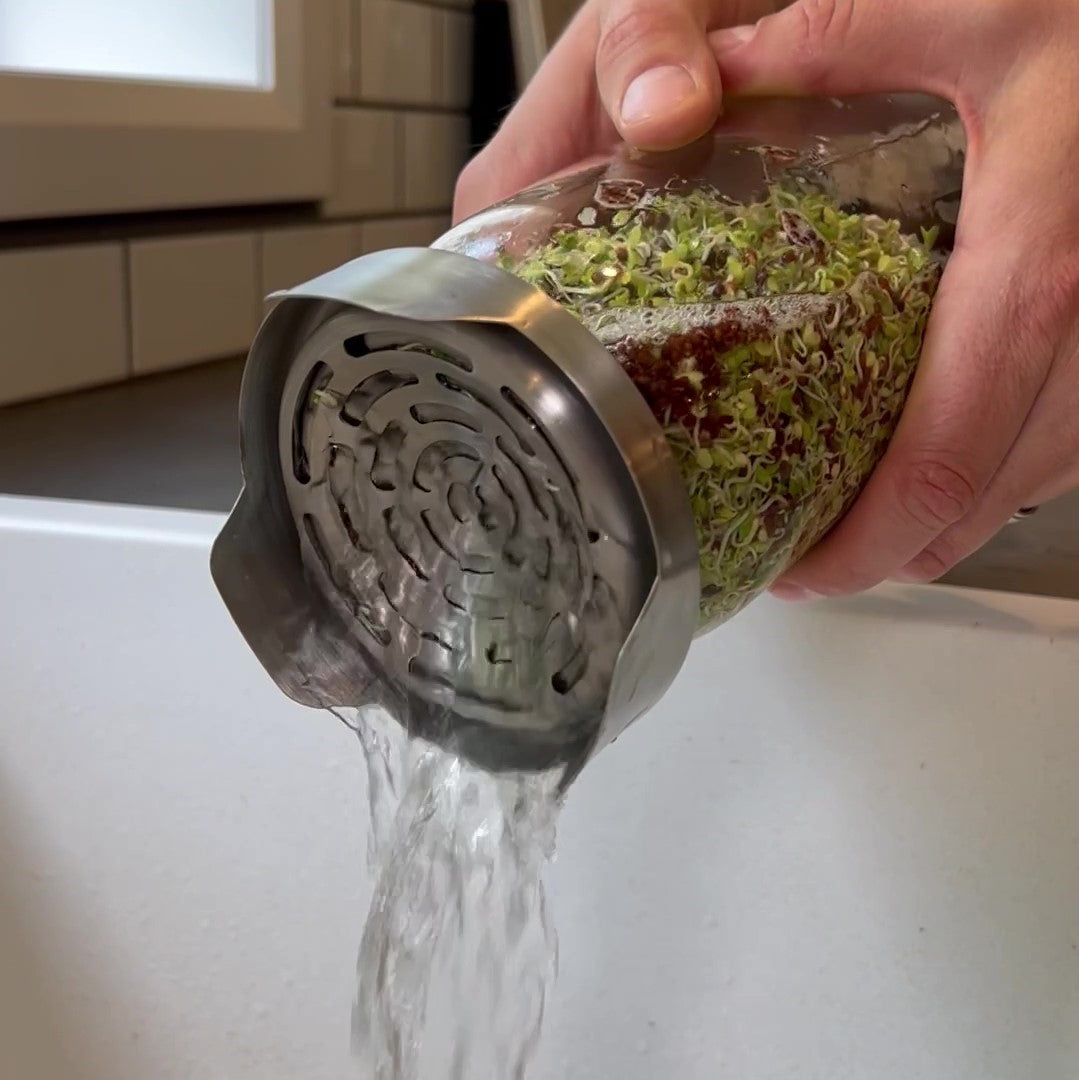 Draining water through the lid of the Sprout Jar Kit