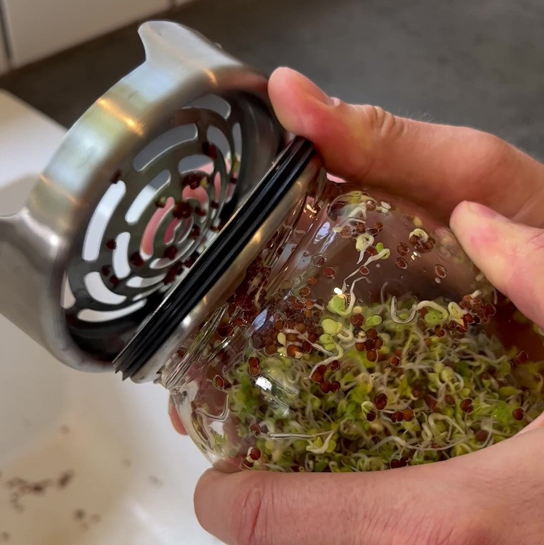 Separating the Sprout Jar Kit lid and stand
