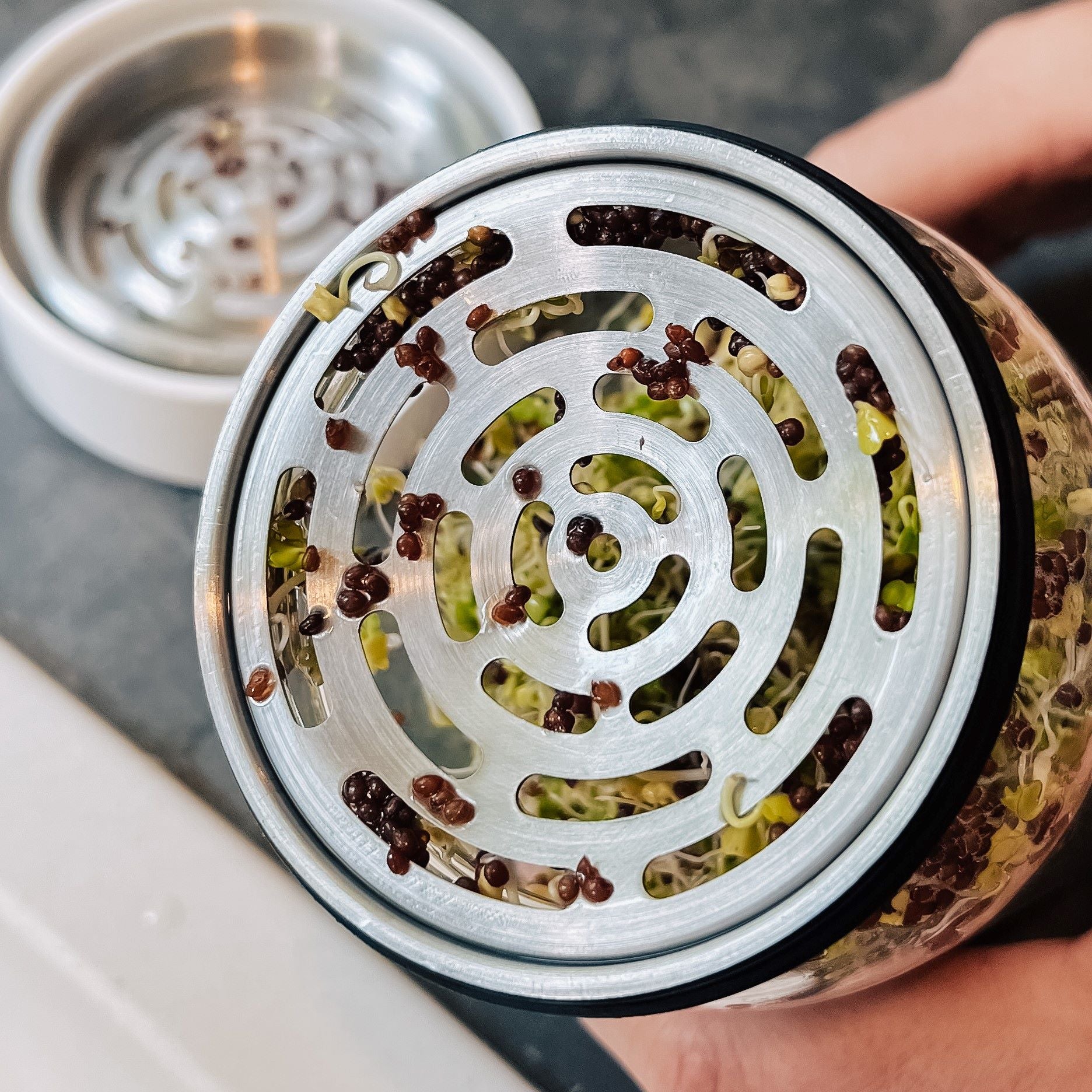 Sprout Jar Kit lid and stand separated to show easy cleaning