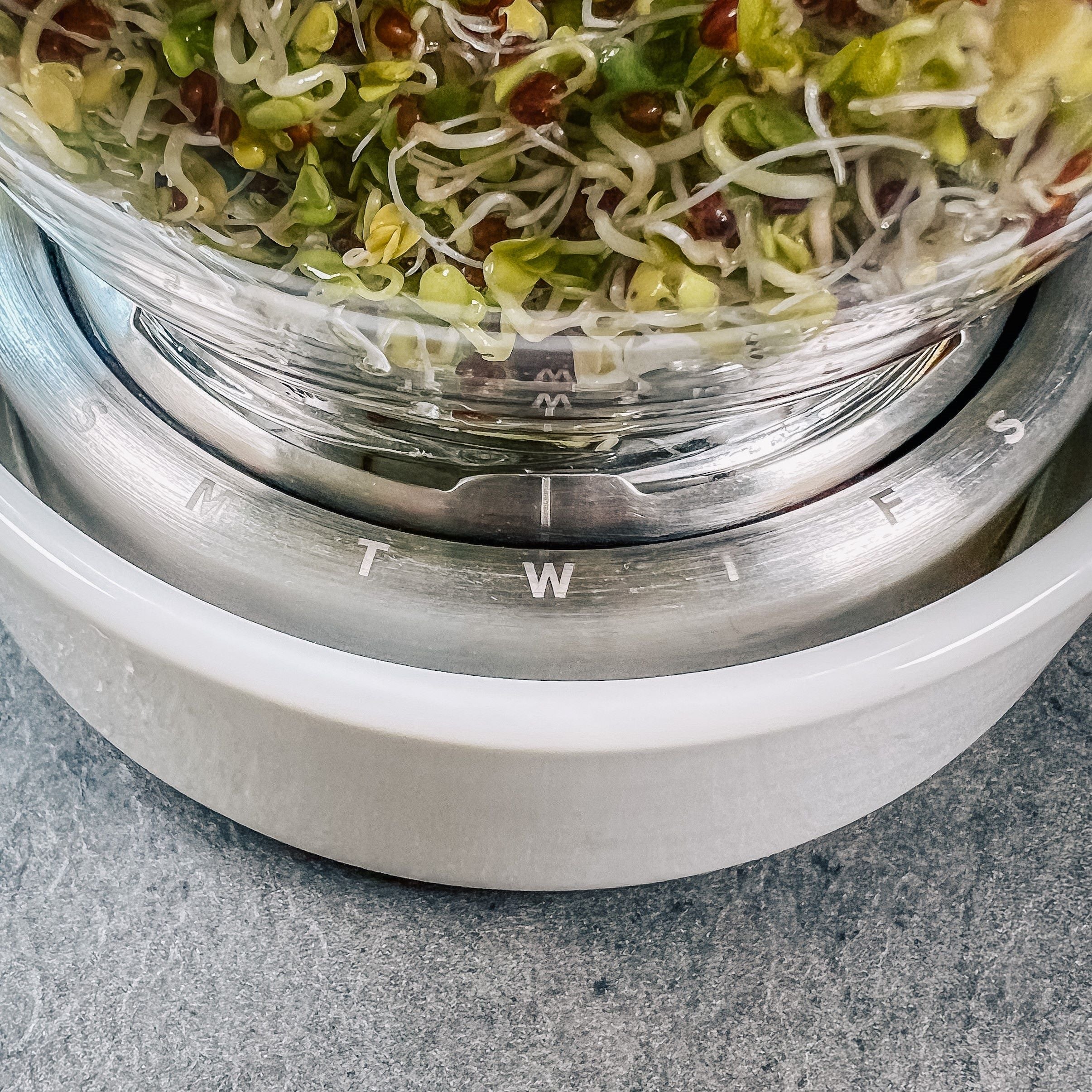 Etched date tracker on the Sprout Jar Kit lid and stand
