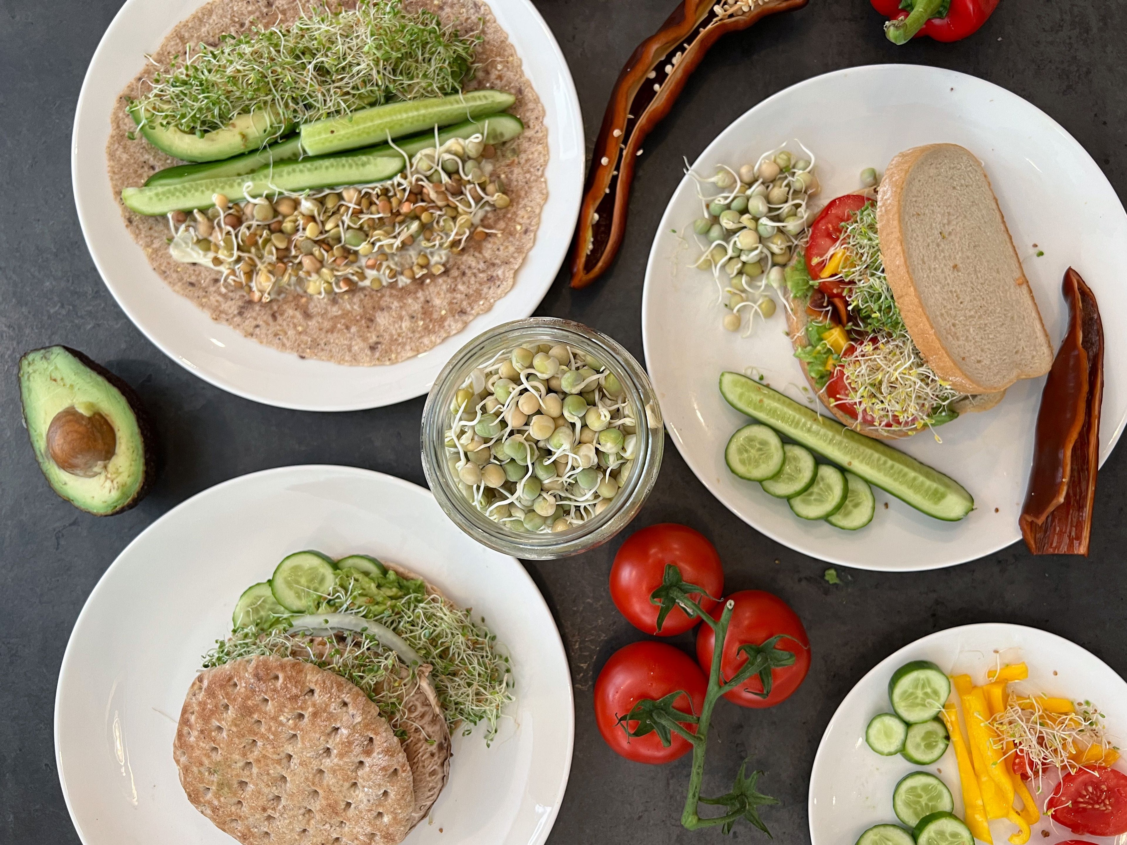 Healthy food ideas using broccoli sprouts, alfalfa sprouts, and pea sprouts