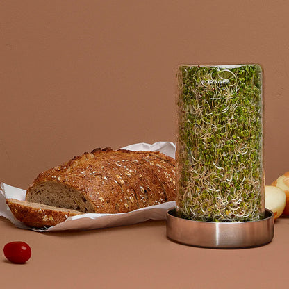 Forages Sprout Jar Kit full of Broccoli Sprouts with Loaf of Bread Recipe Idea
