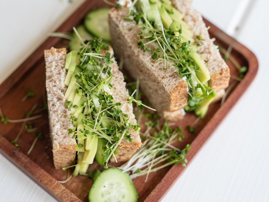 Cucumber & Sprouts Sandwich