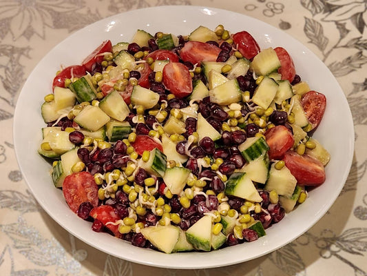 Sprouted Mung Bean & Pomegranate Salad