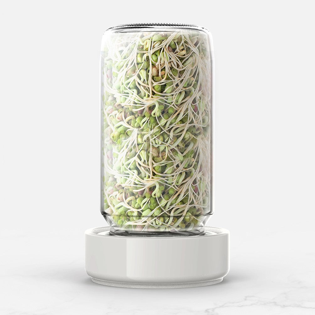 Sprout Counter Sprout Jar Kit – Forages