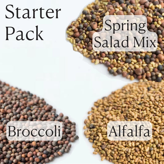 Starter Pack of Sprouting Seeds including Alfalfa, Broccoli, Spring Salad Mix