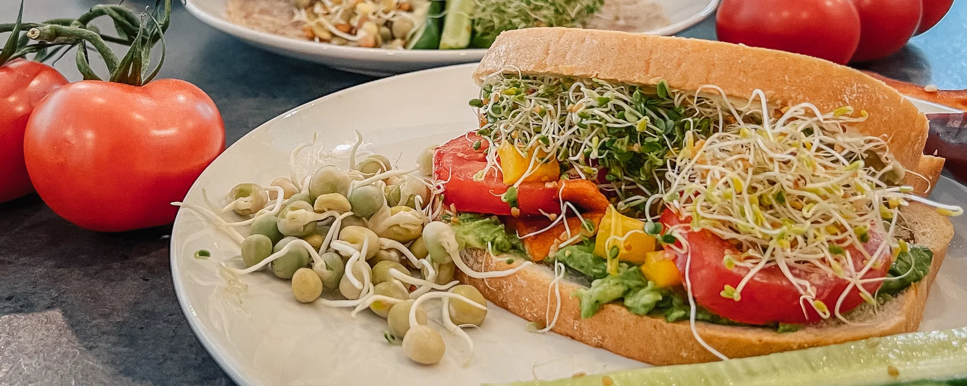 Alfalfa Broccoli Pea Sprouts in Sandwich Recipe