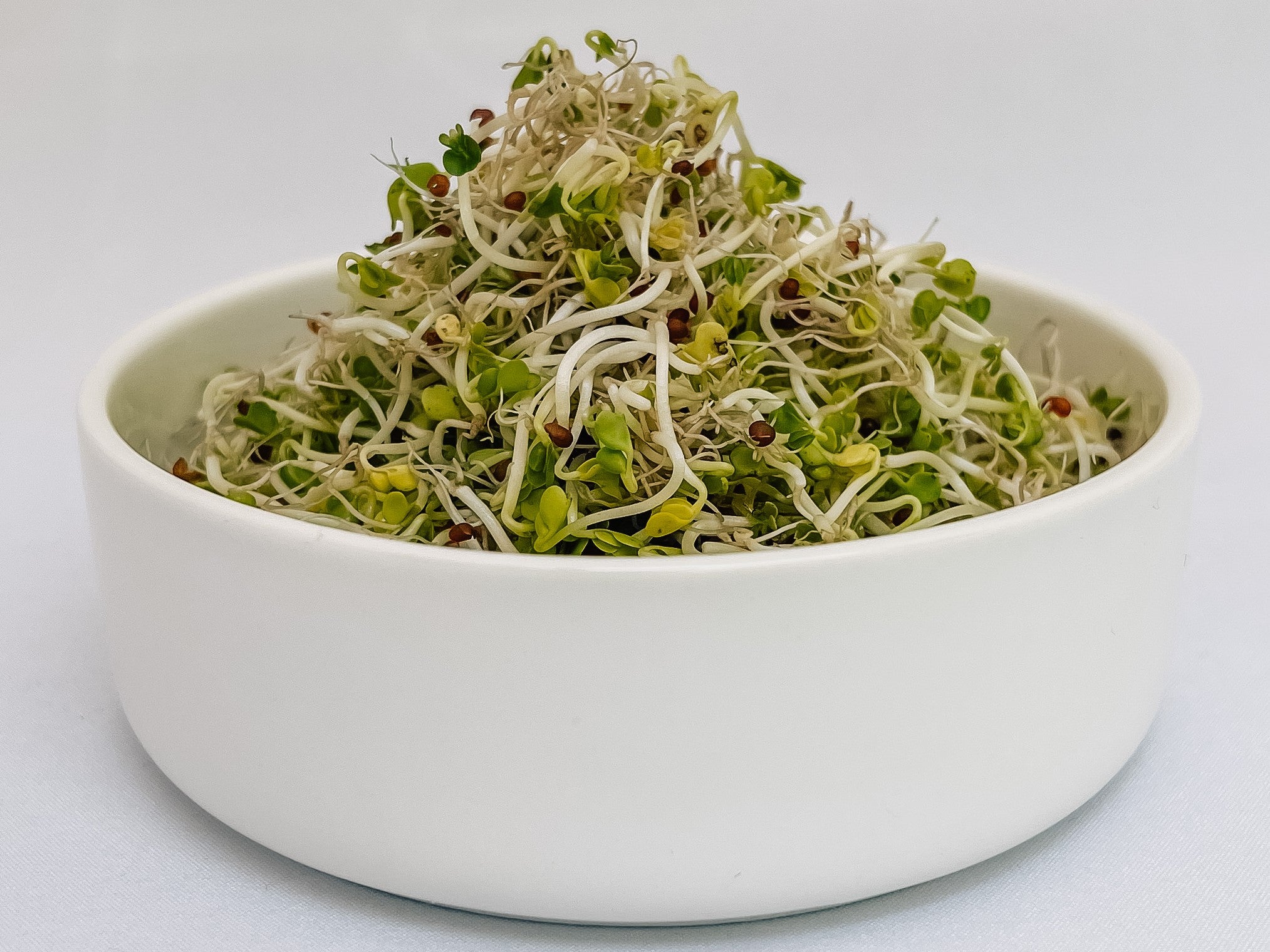 Broccoli sprouts in a bowl