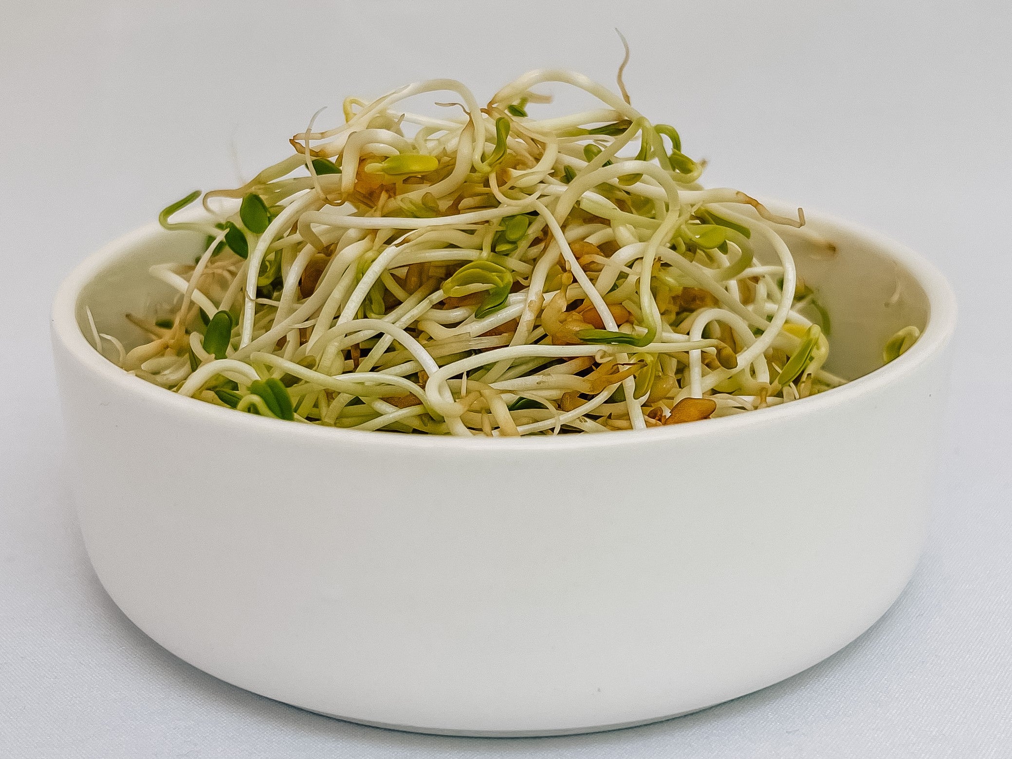 Fenugreek sprouts in a bowl