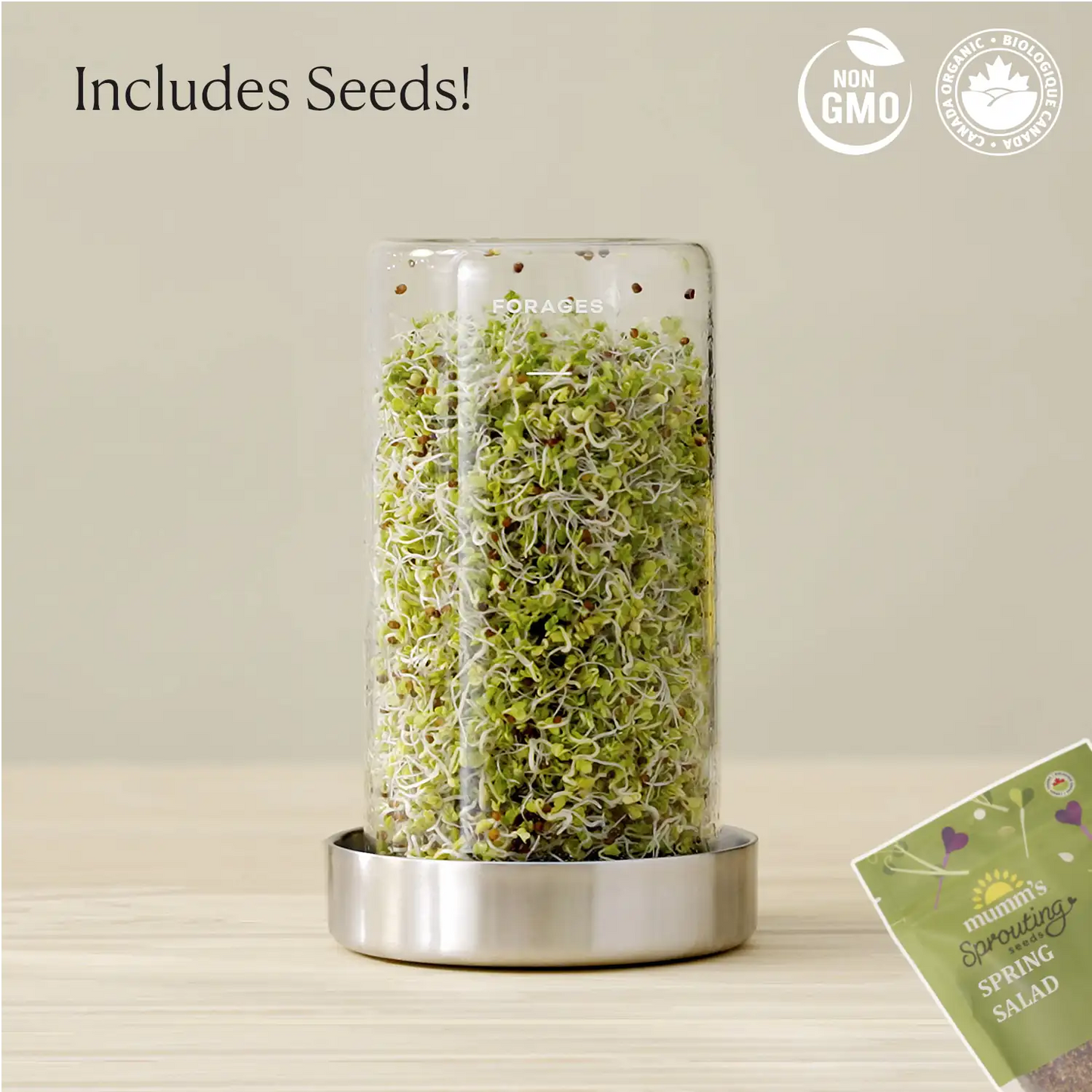 Sprout Jar Kit