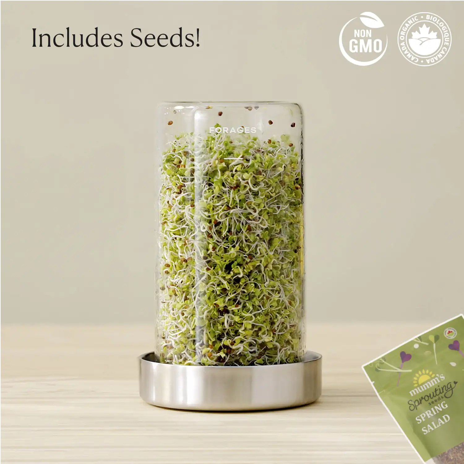 Sprout Jar Kit