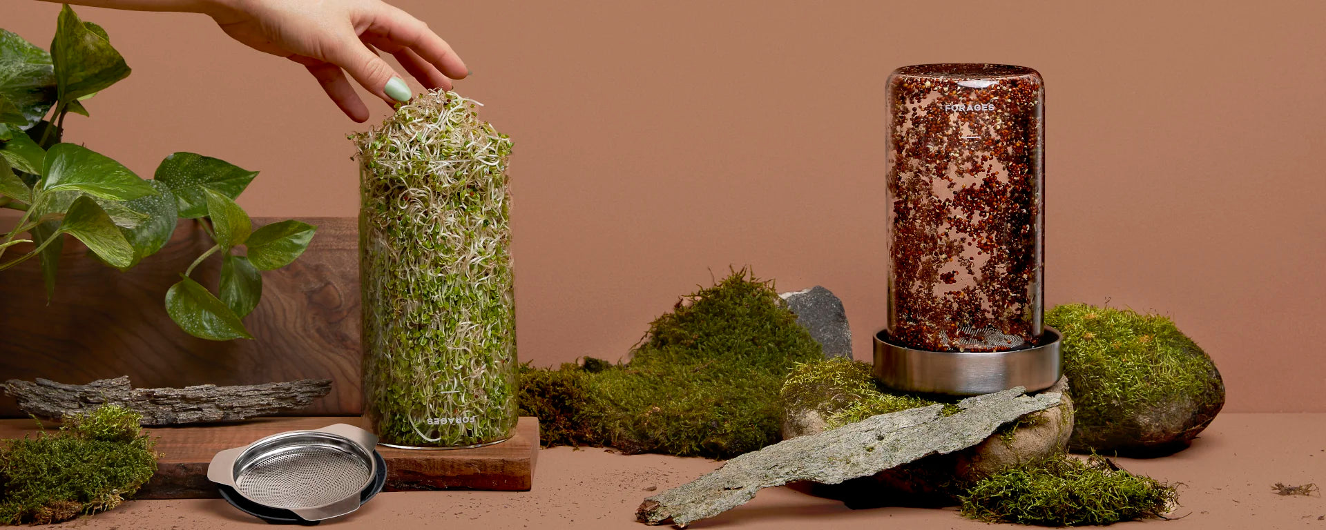 Forages Sprout Jar Kits with rocks, moss, wood and hand reaching banner