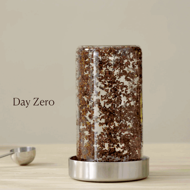 Before You Buy from The Sprouting Company, Read This Comparison – Forages