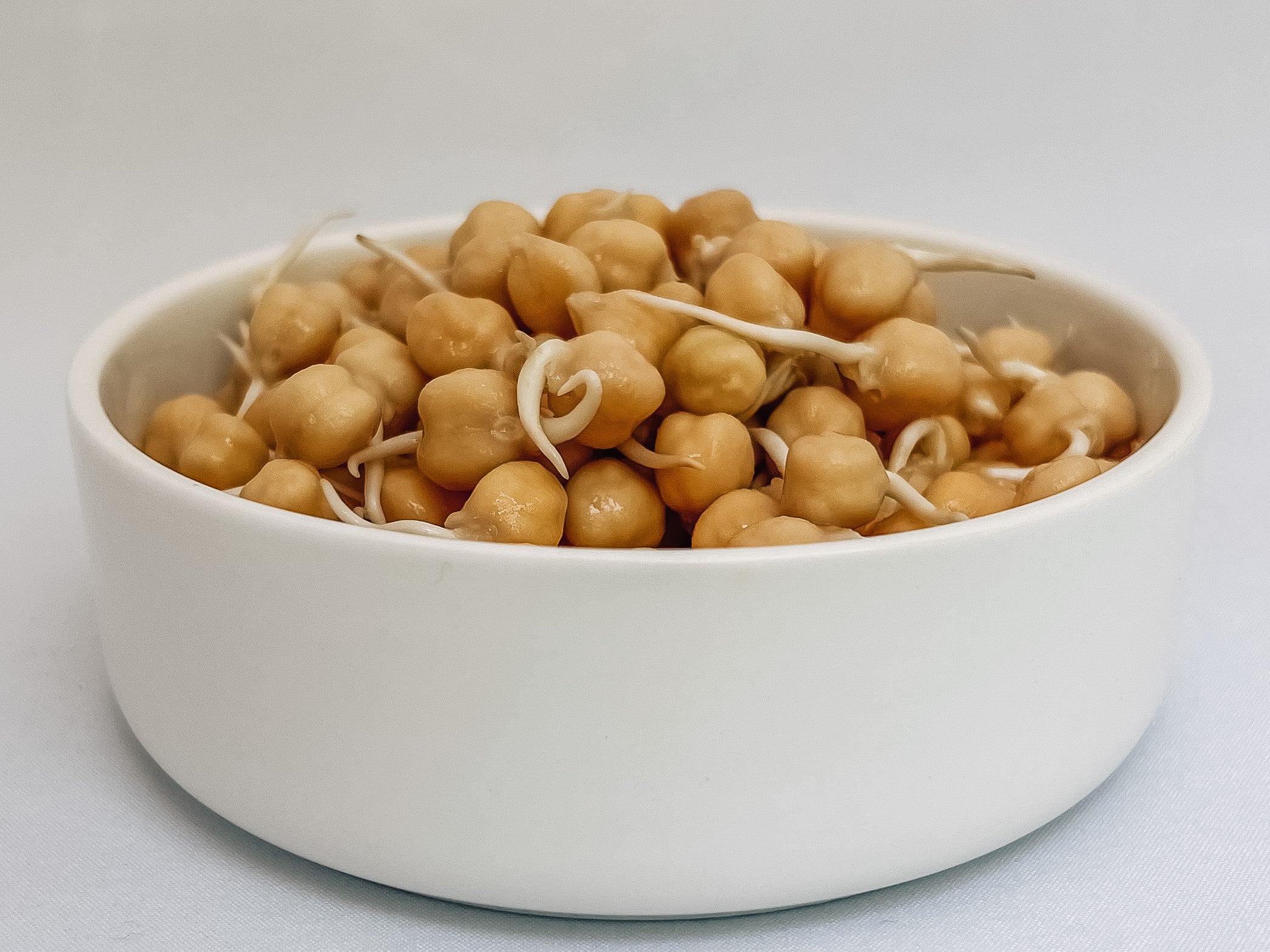 Garbanzo Bean (Chickpea) sprouts in a bowl