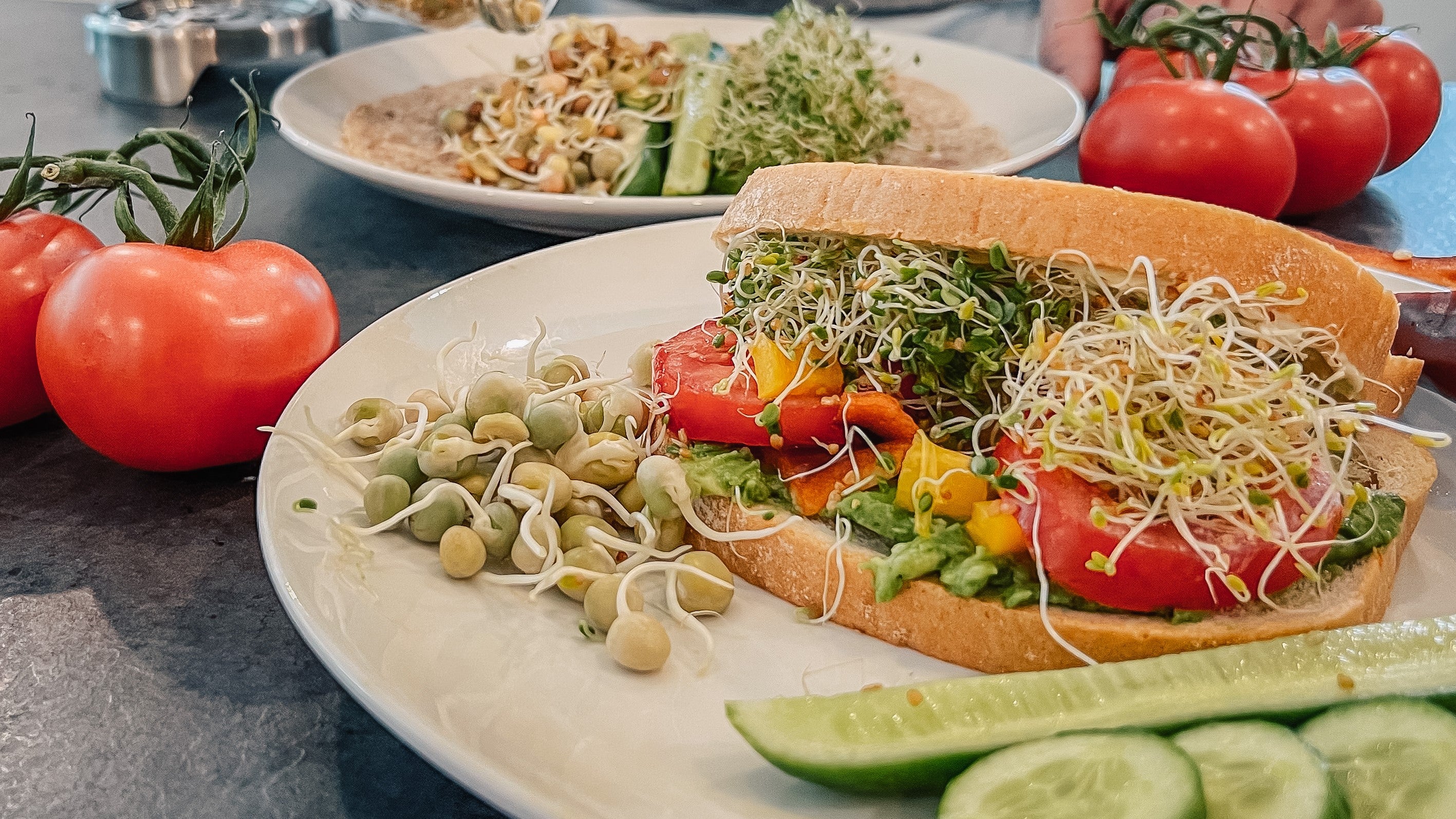 Broccoli sprouts, alfalfa sprouts, and bean sprouts on a sandwich in a healthy lunch