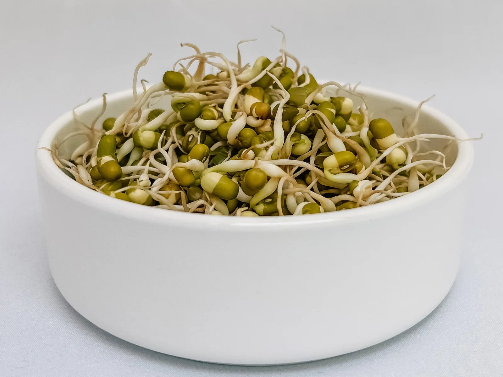 Mung Bean Sprouts in a Bowl