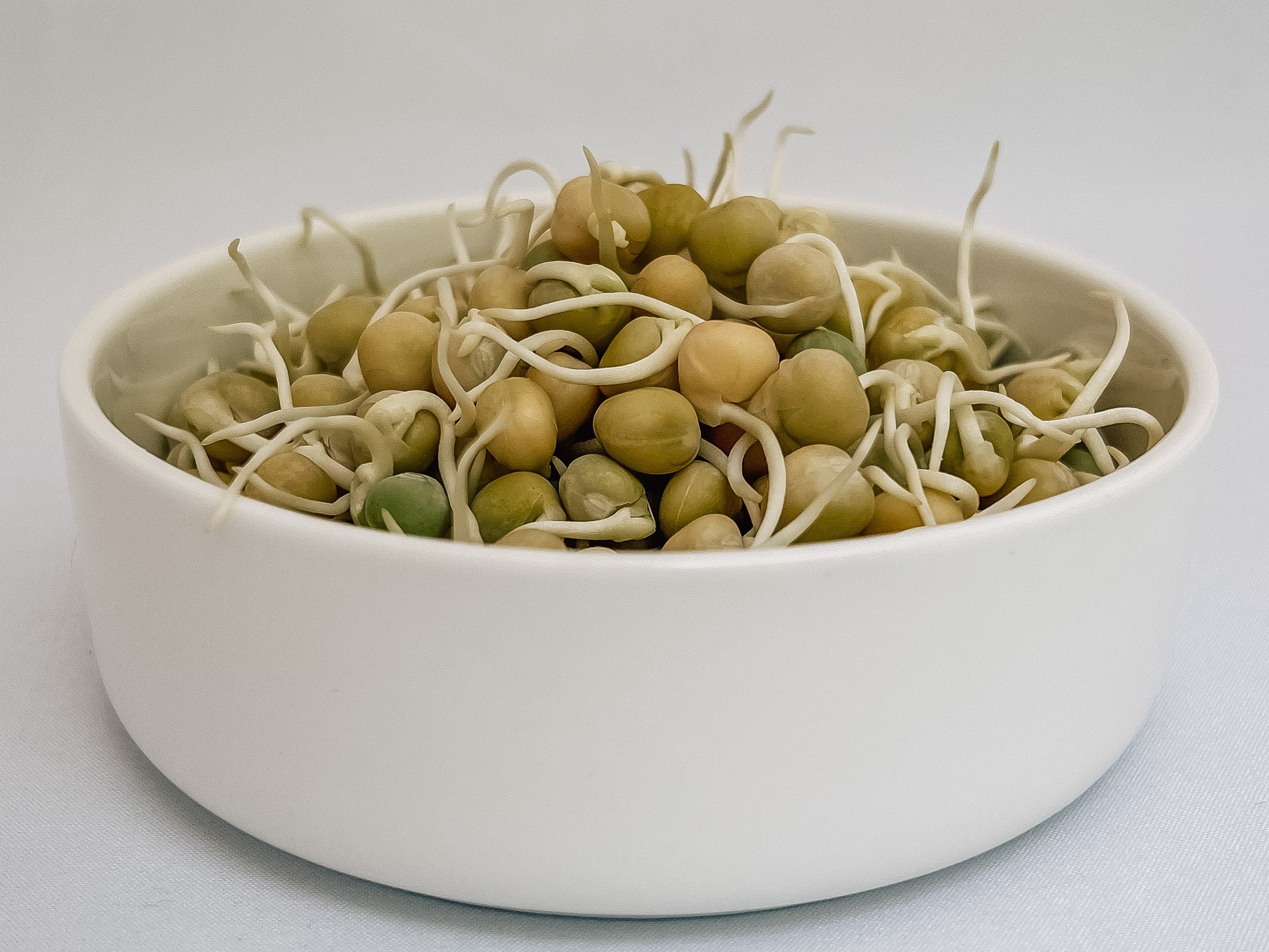 Green Pea sprouts in a bowl
