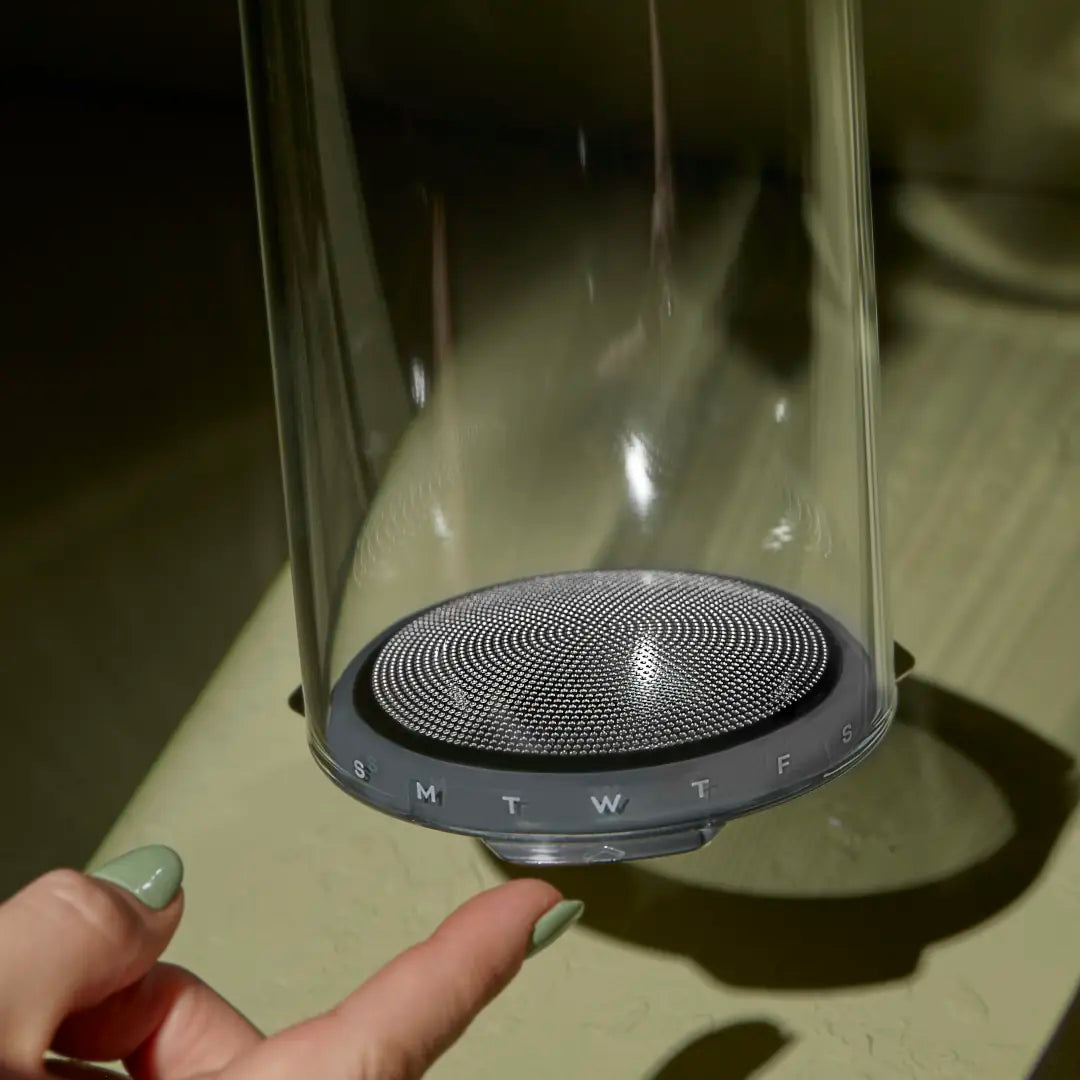 Forages Sprout Jar Kit Date Tracker for growing your own sprouts