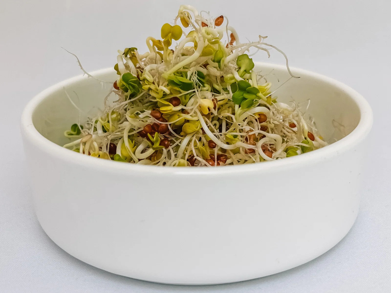 Radish Sprouts in a Bowl