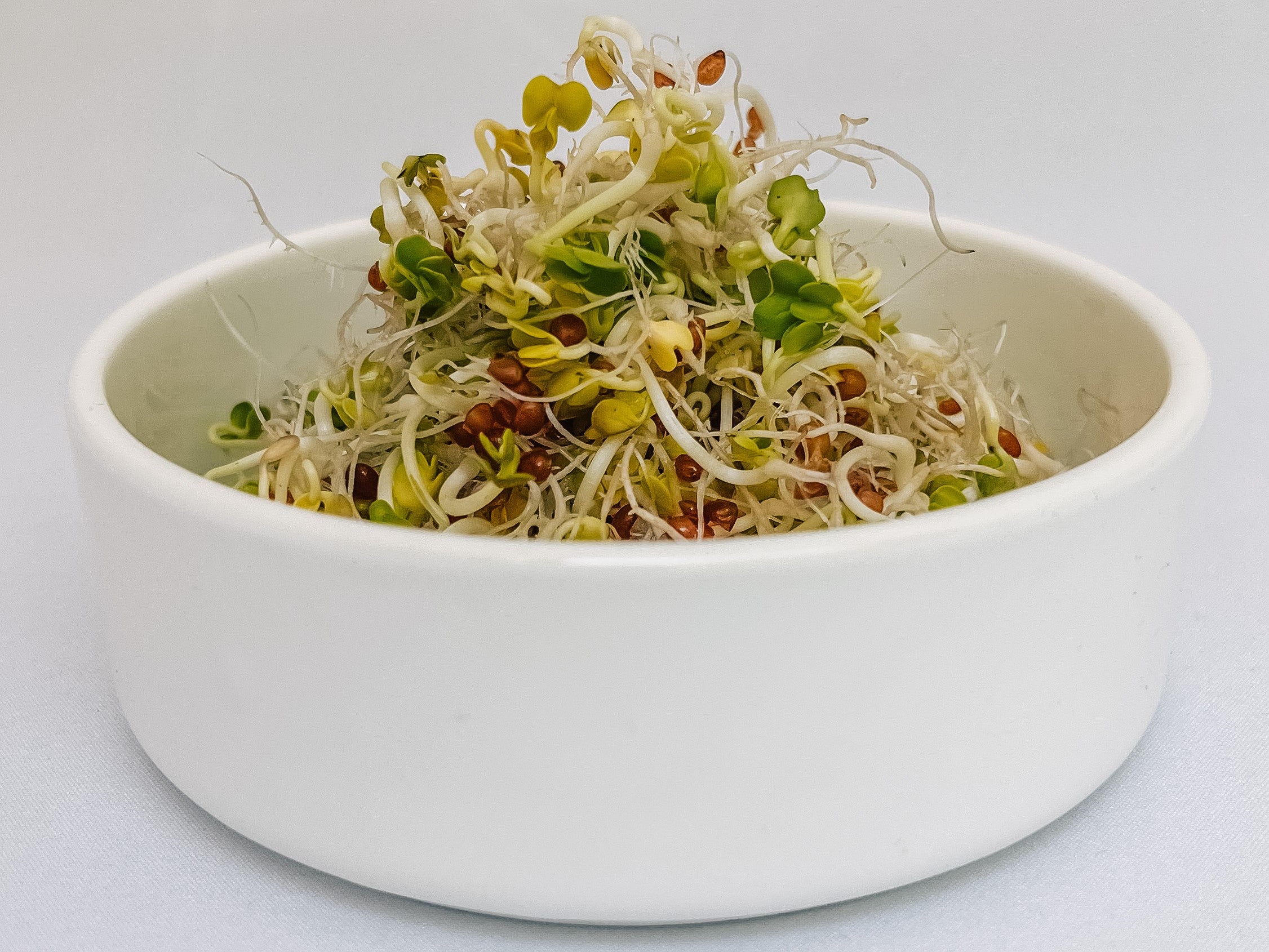 Radish sprouts in a bowl