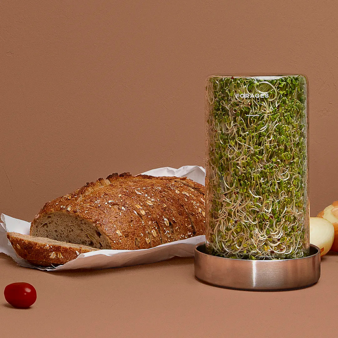 Forages Sprout Jar Kit full of Broccoli Sprouts, Loaf of Bread, Recipe Idea